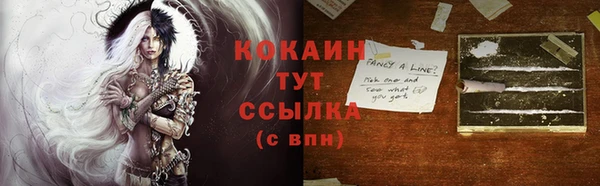мдпв Волоколамск