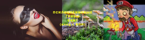 крисы Волосово