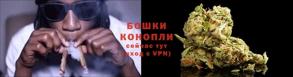 мдпв Волоколамск