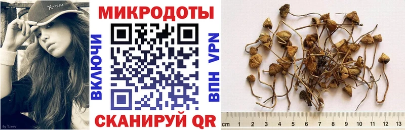 Купить закладки  Нижняя Салда  Псилоцибиновые грибы мухоморы 
